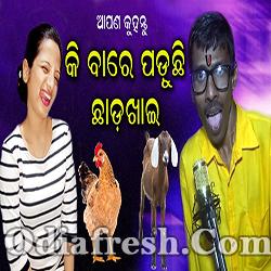 Ki Bare Paduchi Chhada Kahi (Mamali) Funny Song